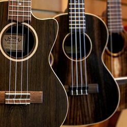 Guitars Basses and Ukuleles