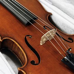 Orchestral Stringed Instruments