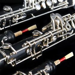 Woodwind Instruments