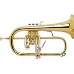 Bach 183 Flugelhorn