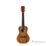 Cordoba 15CM Concert Sized Ukulele