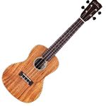 Cordoba 25C Solid Spruce Top Concert Ukulele