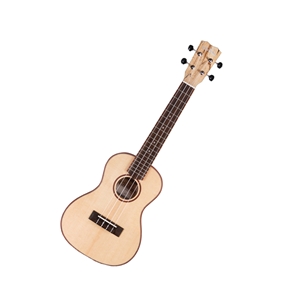 Cordoba 24C Concert Ukulele