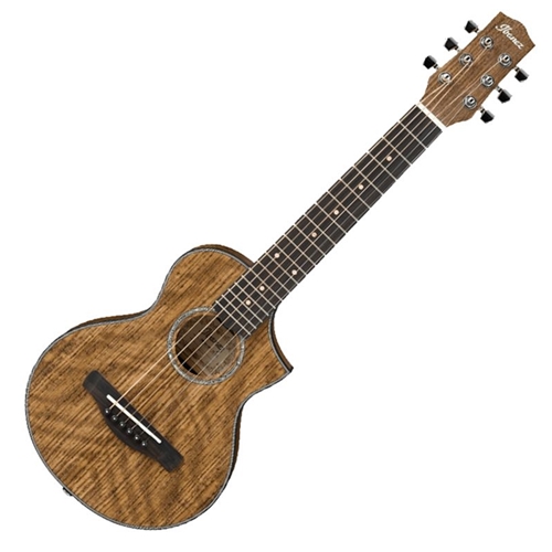 Ew Piccolo Acoustic Guitar