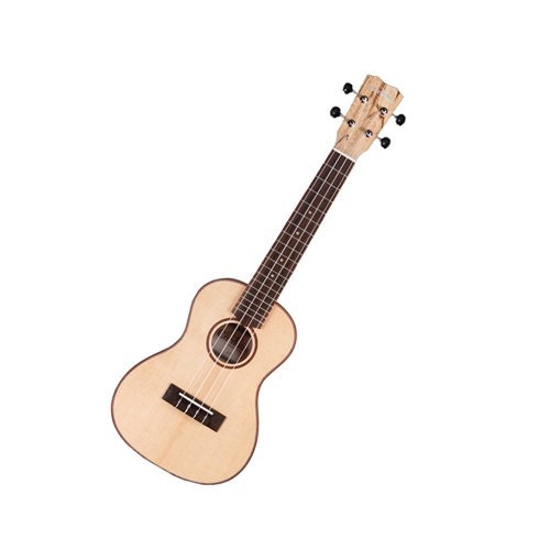 Cordoba 24C Concert Ukulele