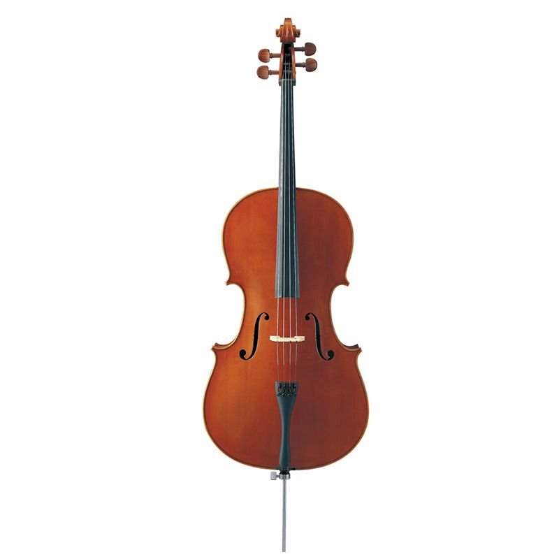 A Ted Brown Music rental cello.