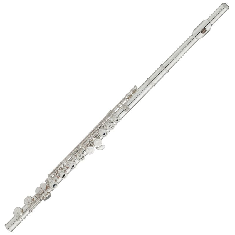A Ted Brown Music rental flute.