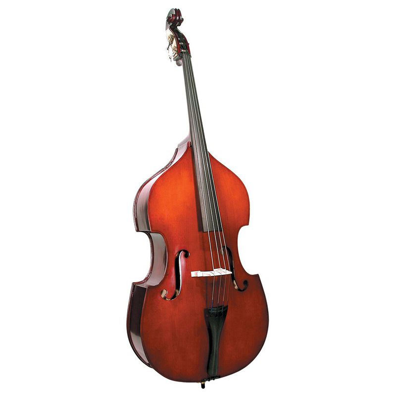 A Ted Brown Music rental double bass.