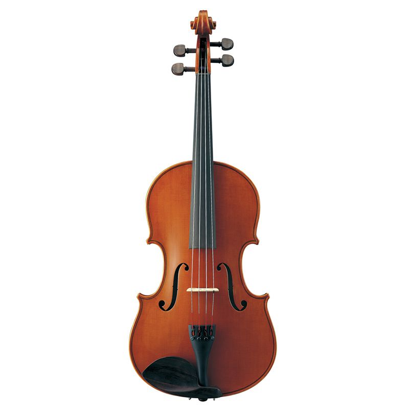 A Ted Brown Music rental viola.