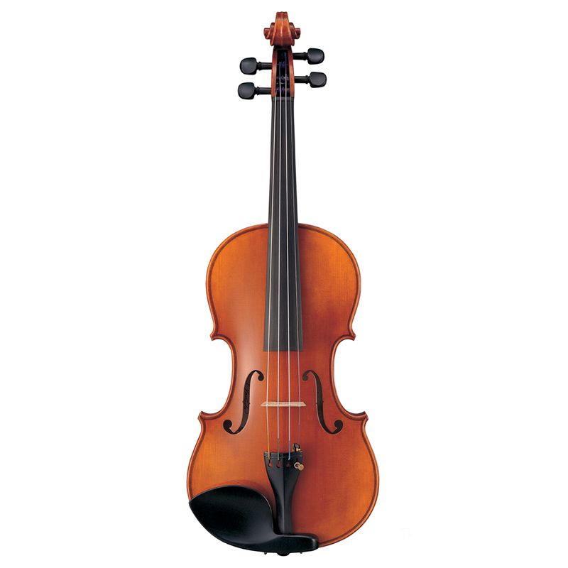 A Ted Brown Music rental violin.